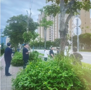 国法岂能沦为空谈？举报反遭报复，谁来为我们