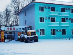 游客长白山观赏东北虎因何常吃“闭门羹”?