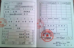 海南一“公章之争”背后:虚假诉讼、假证风波与治理困局